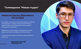 Главное: Мошенники продолжают обманывать югорчан