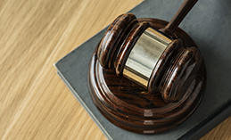 В суд направлено уголовное дело об организации незаконной миграции