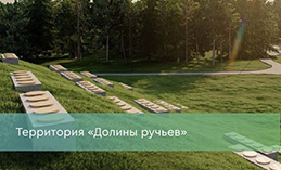 Создаём инфраструктуру. Как может измениться «Долина ручьёв»?