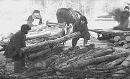 На благо Родины. Вырезки из «Сталинской трибуны»