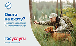 Югорчане могут получить разрешение на охоту, не выходя из дома