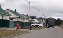 В деревню Ярки вышел медведь-подросток