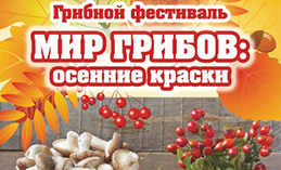В Ханты-Мансийске пройдёт грибной онлайн-фестиваль