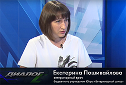 В студии ветврач БУ Югры «Ветеринарный центр» Екатерина Пошивайлова