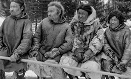 В Египте откроется фотовыставка из фондов Музея Природы и Человека