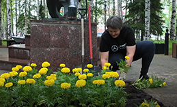 Более 270 тыс. цветов украсят улицы Ханты-Мансийска этим летом