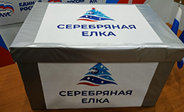 «Единая Россия» запустила благотворительную акцию «Серебряная ёлка» 