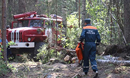 В Ханты-Мансийском районе два действующих лесных пожара