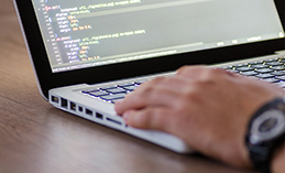 Югорчане могут получить IT-образование с поддержкой государства