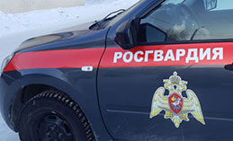 В Ханты-Мансийском районе незаконно продавали охотничье ружьё