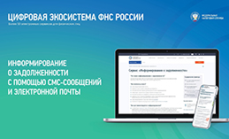 Узнать информацию о своих налогах можно онлайн