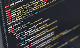 Представителей 45 стран ожидают в Ханты-Мансийске на IT-Форум