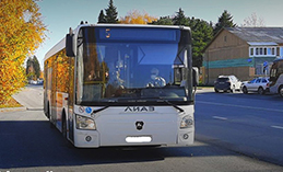 В Ханты-Мансийске появится круглогодичный дачный автобус 