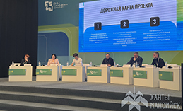 В Ханты-Мансийске обсудили «Мечты о городе, или город мечты»