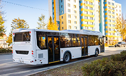 Неработающим пенсионерам выдают билеты на автобус по маршруту «Стрижкино»