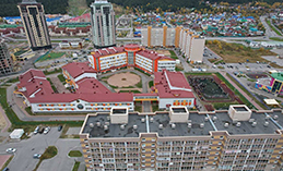 К чьей компетенции относится организация ремонта уличного освещения?