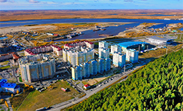 В Ханты-Мансийске пройдёт обработка от комаров и мошек