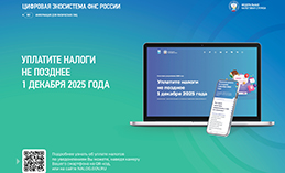 Оплатить налоги необходимо до 1 декабря