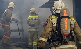 В деревне Лугофилинская на пожаре погибла женщина