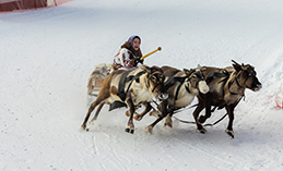 Всю информацию о мерах поддержки КМНС можно узнать онлайн