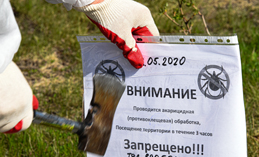 Власти призывают хантымансийцев травить клещей на дачах