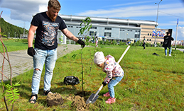 В Югре продолжается акция «Мемориальные деревья России»