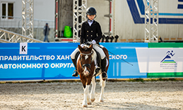 Соревнования по выездке и конкуру на Кубок губернатора Югры