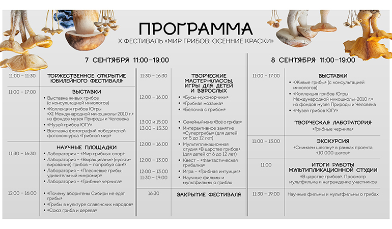 Мир грибов.jpg