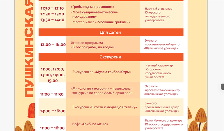 второй день фестиваля.jpg