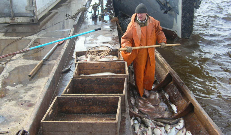 Улов dscn0690-2.jpg
