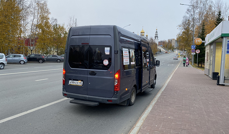 автобусы.jpg