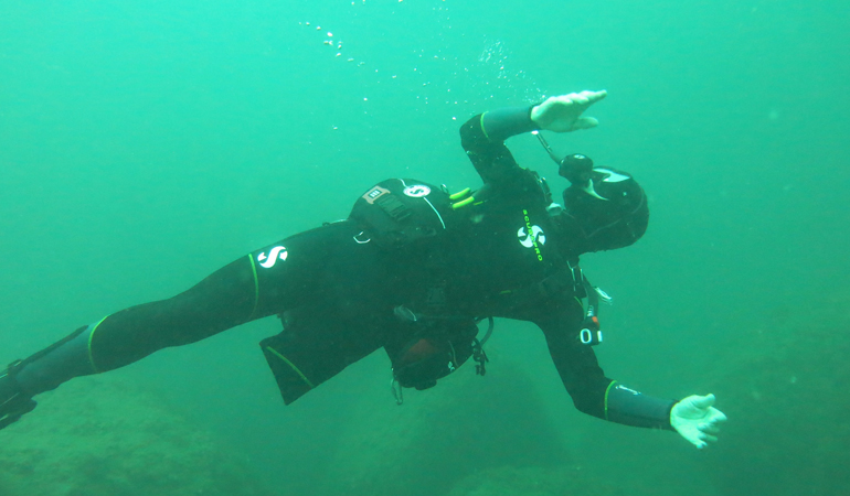 dive_1.jpg