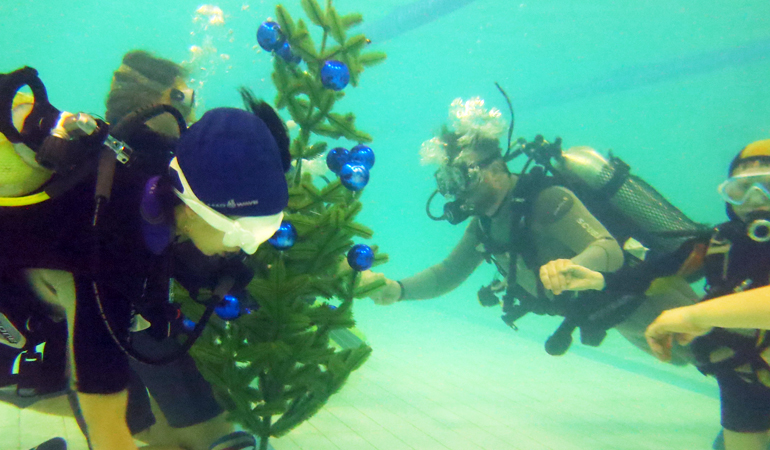 dive_3.jpg