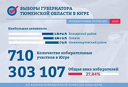 Выборы губернатора Тюменской области: промежуточные результаты явки на 16:00
