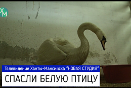 Непредвиденная зимовка 