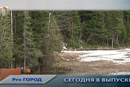 Новости Ханты-Мансийска 24.04.20