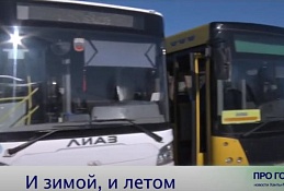 ГЛАВНОЕ: Дачный автобус круглый год