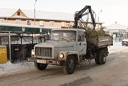 Утилизация елок