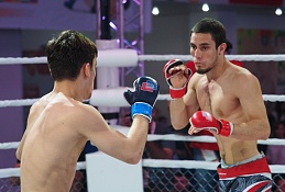 Уже завтра можно посетить первые бои MMA