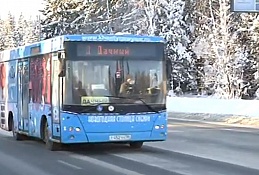 Автобус на дачи теперь будет ходить круглый год