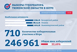 Выборы губернатора Тюменской области: промежуточные результаты явки на 14:00