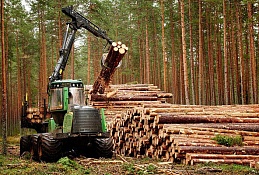 Лесопромышленный комплекс остается субсидируемой отраслью экономики Югры