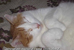 Хантымансийцы не торопятся декларировать доходы