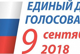 Каждый двадцатый избиратель из Югры уже отдал свой голос