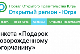 Югорчанам предлагают выбрать подарок новорожденным