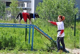 В Ханты-Мансийске прошли первые соревнования на новой площадке для собак