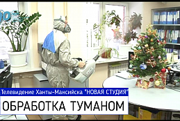 Обработка туманом