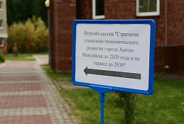 Предложения в «Стратегию социально-экономического развития города» сформулированы на форсайт-сессии