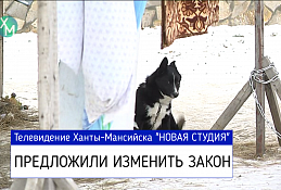 Ответственное обращение с животными