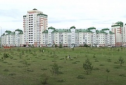 Как в Ханты-Мансийске кедры высаживают